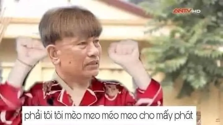 Meme rất thú vị cho ngày mới