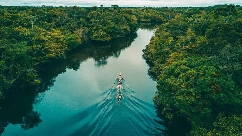 Ảnh của một dòng sông với một dòng sông phản ánh sự sống động của thiên nhiên