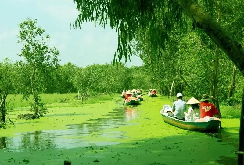 Hình ảnh River Forest là biểu tượng của sự hòa hợp tự nhiên