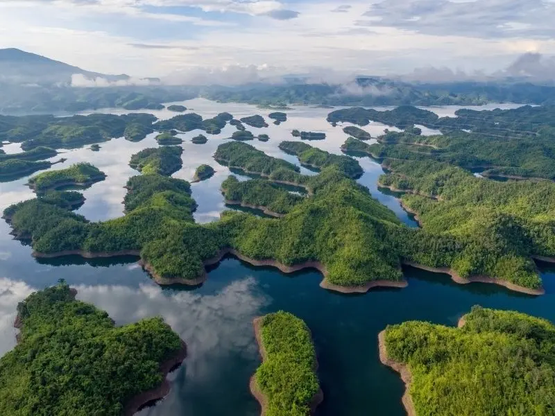 Khám phá vẻ đẹp tự nhiên thông qua các bức ảnh River Forest