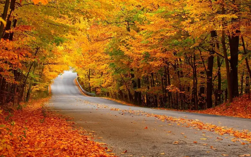 Feeling autumn through beautiful and warm landscape wallpapers