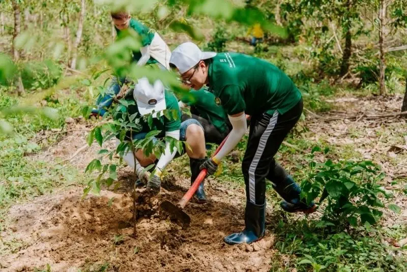 Trồng cây là một bảo vệ môi trường có ý nghĩa