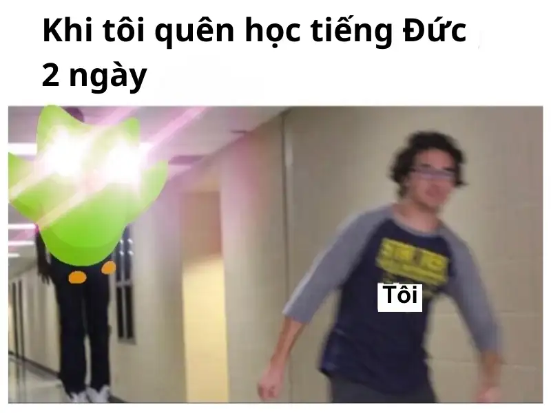 Duolingo Meme tạo ra động lực thường xuyên