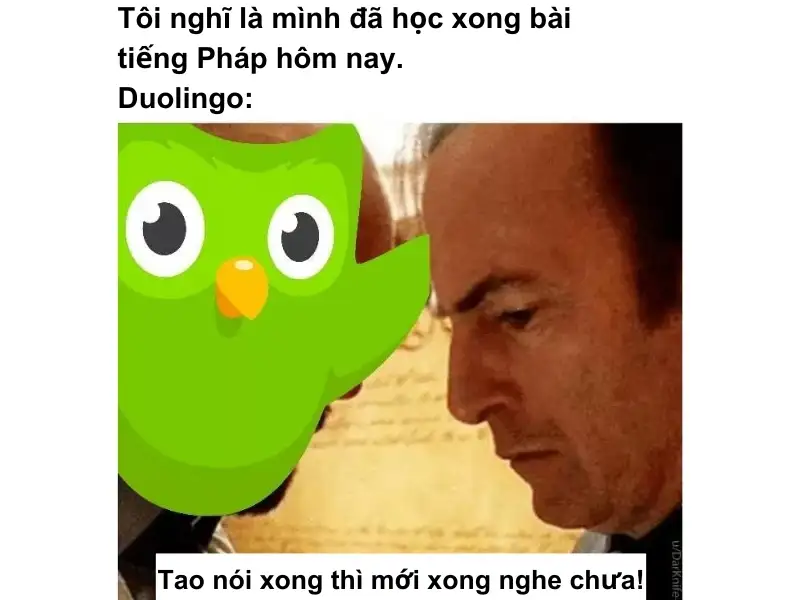 Meme duolingo với khuôn mặt hài hước