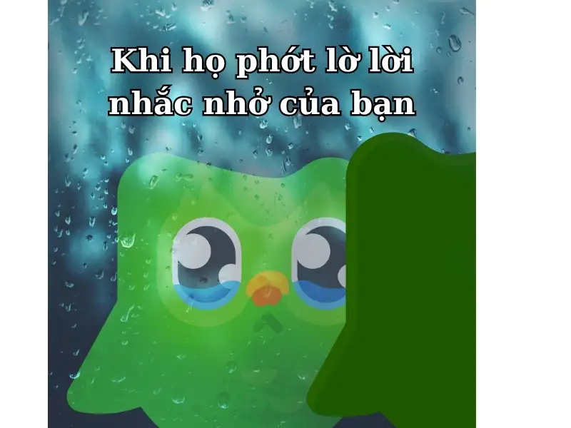 Duolingo Meme với nỗi buồn