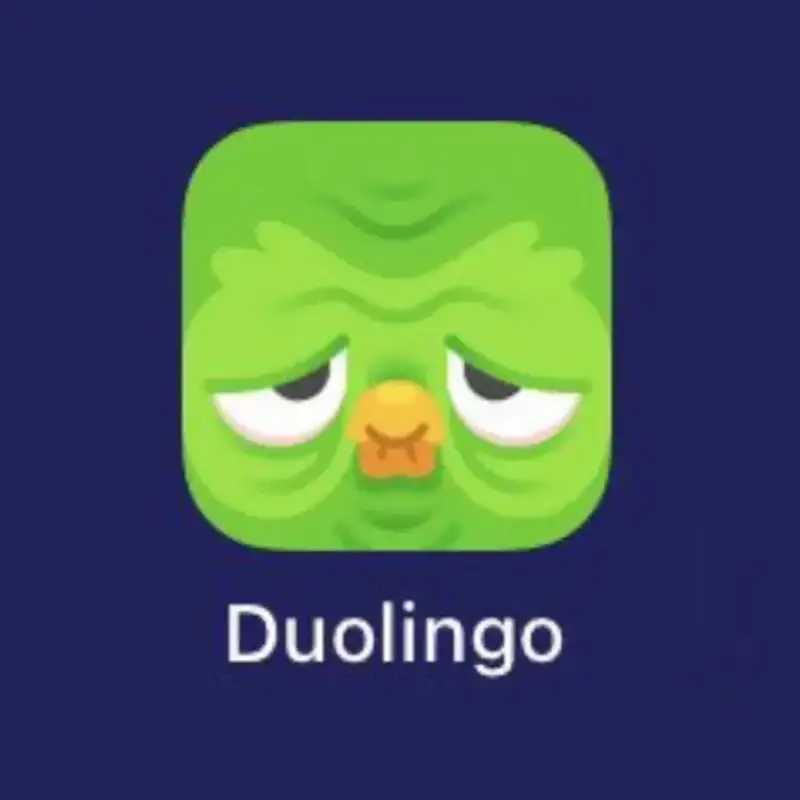 Duolingo meme ngủ vui nhộn