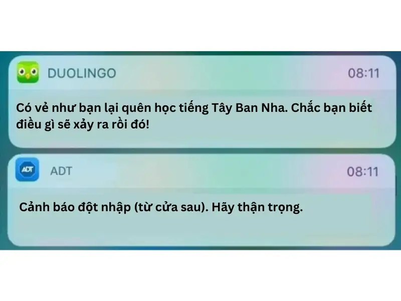 Duolingo Meme thật buồn cười