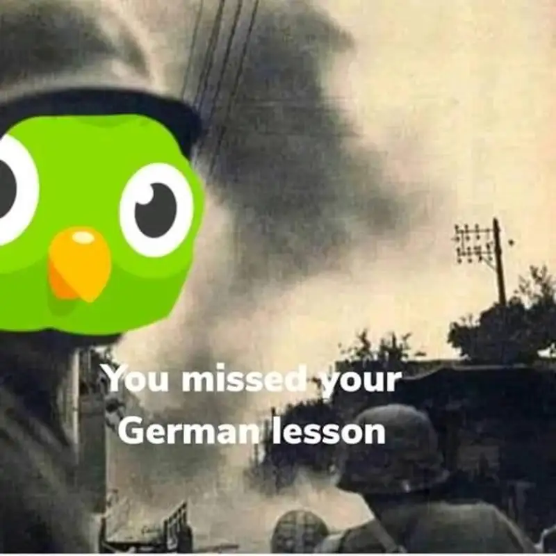 Duolingo Meme truyền cảm hứng cho ngoại ngữ