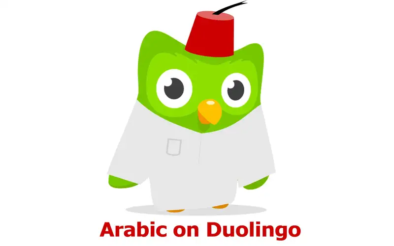 Duolingo Meme Doctor Funny