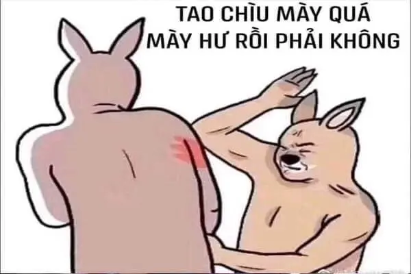 Meme rất vui cho những người yêu thích sự hài hước