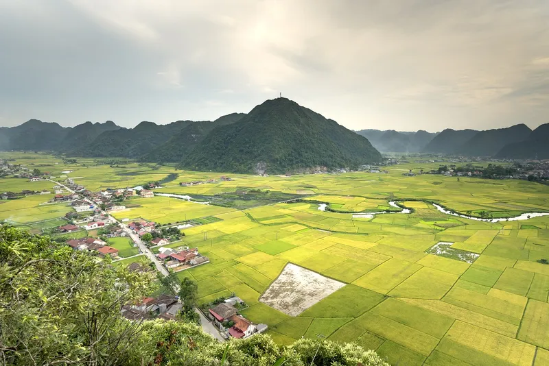 Hình nền nông thôn Việt Nam, chọn lý tưởng cho những người yêu thiên nhiên.