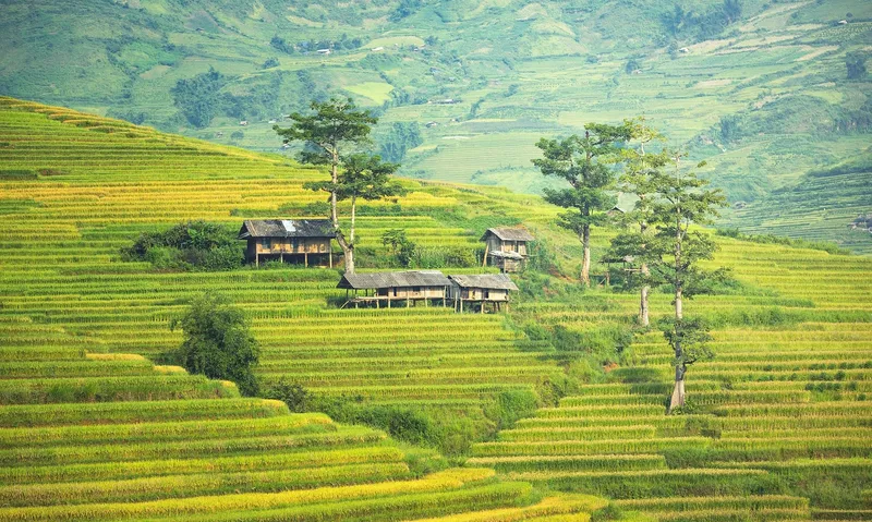 Mang theo hơi thở của làng Việt Nam mỗi ngày thông qua những hình nền đẹp.