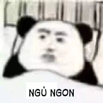 Chúc ngủ ngon Meme giúp bạn hoàn toàn thư giãn