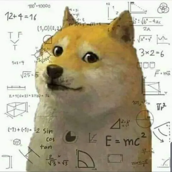 Shiba meme tính toán vui nhộn, thú vị