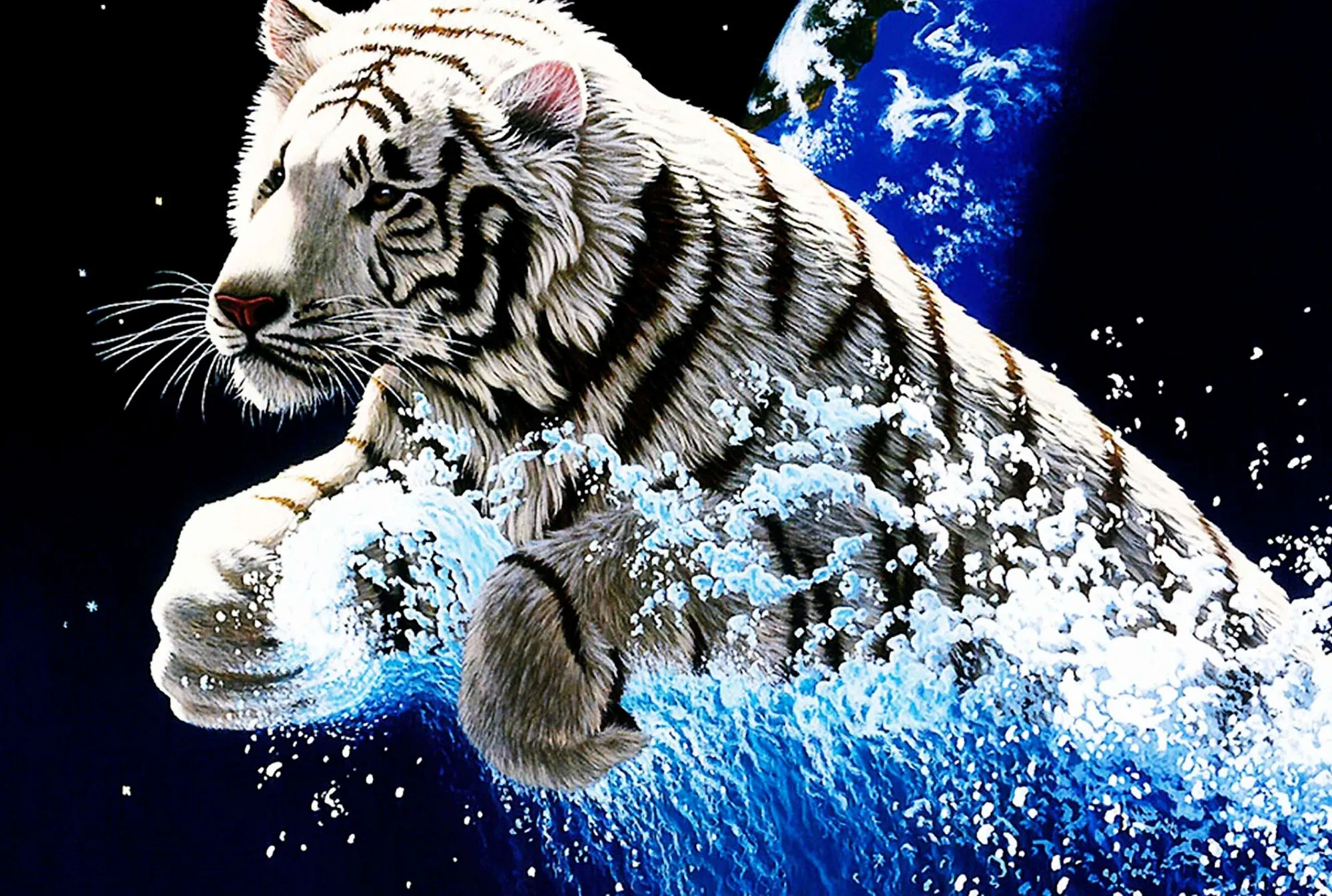 Avatar Tiger Cool 58