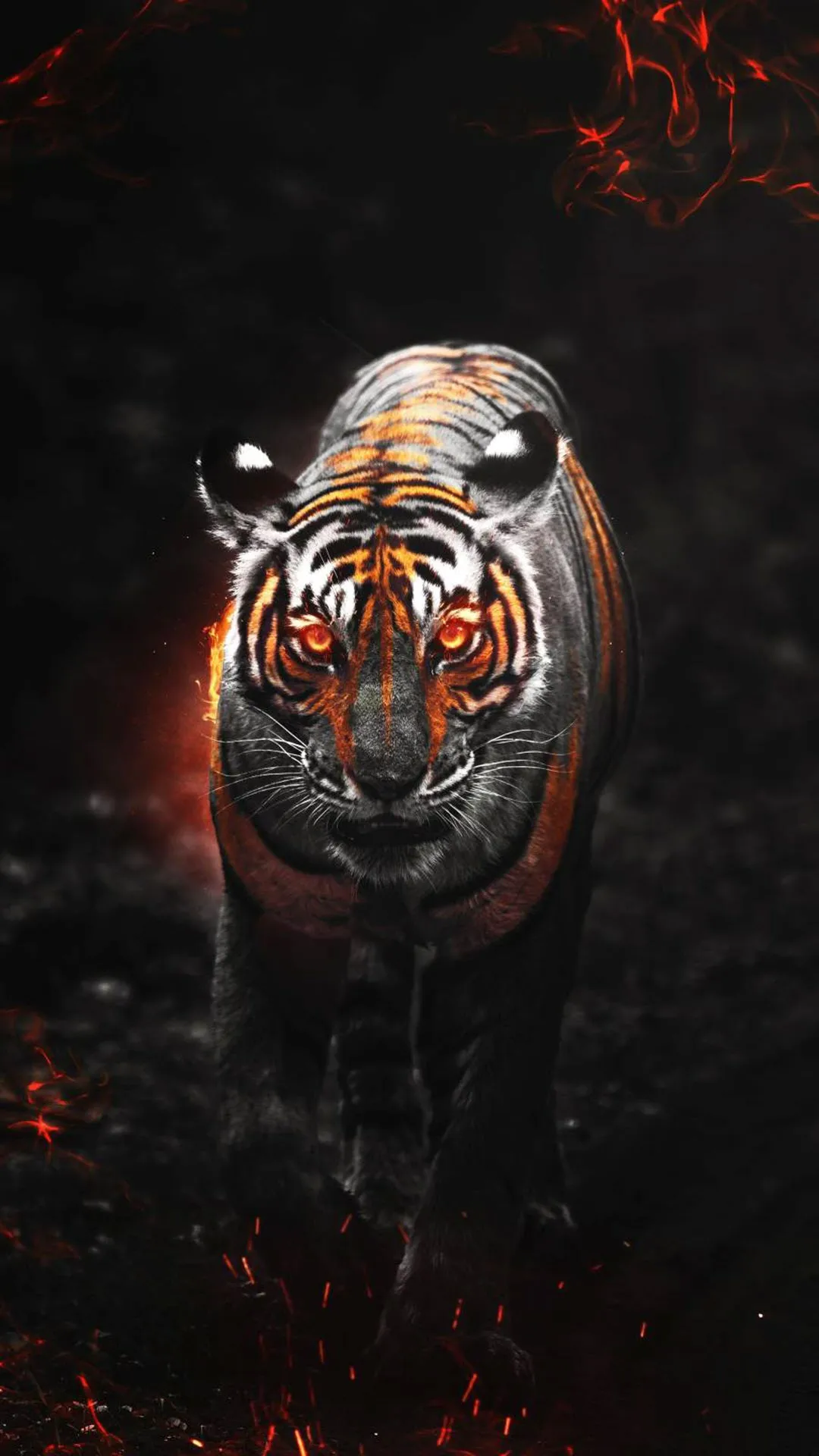 Avatar Tiger Cool 62