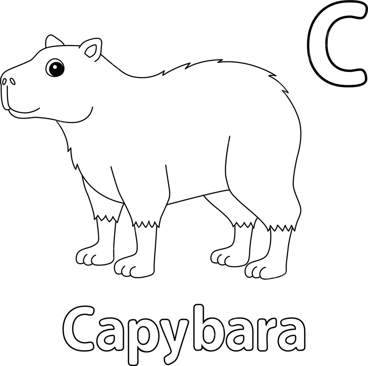 Capybara bức tranh màu dễ thương, kích thích trí tưởng tượng của em bé.