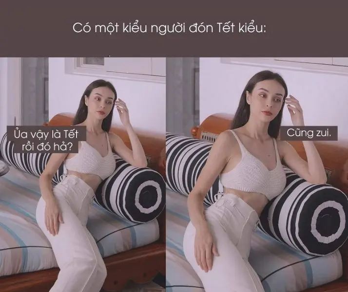 Meme năm mới con mèo với hình ảnh đáng yêu