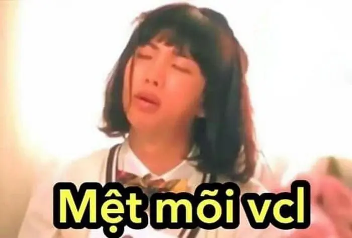 Meme bất lực rất dễ thương và hài hước