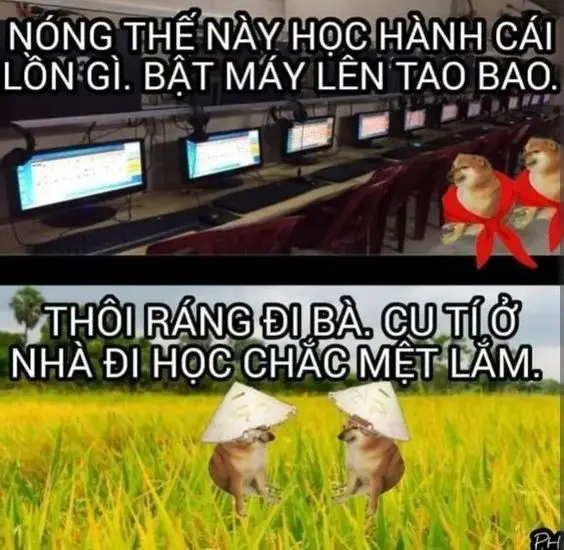 Nhân loại meme chứa thông điệp chân thành