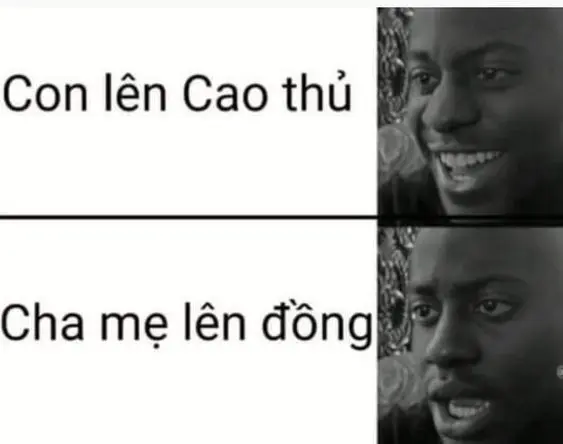 Nhân loại meme với thông điệp nhẹ nhàng