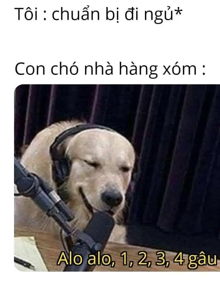 Meme đi ngủ với những biểu cảm mệt mỏi