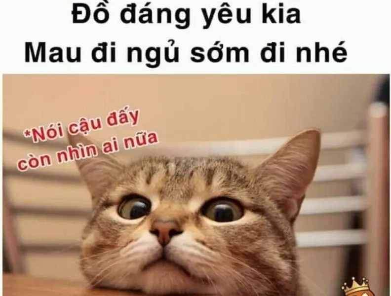 Meme đi ngủ để lan rộng mạnh mẽ