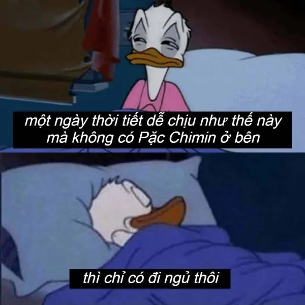 Meme đi ngủ với khuôn mặt buồn ngủ