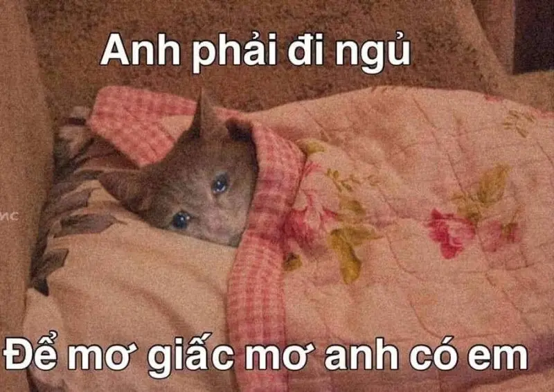 Meme đi ngủ để làm cho người xem hào hứng