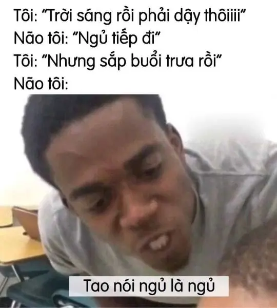 Meme mọi người đi ngủ gây ra tiếng cười cho cộng đồng trực tuyến