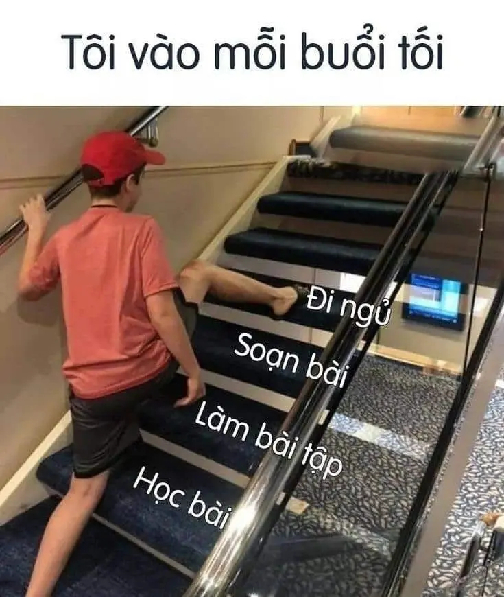 Meme đi ngủ mỗi đêm