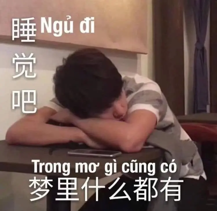 Meme mọi người đi ngủ hài hước và hóm hỉnh