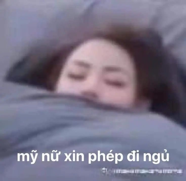 Meme phụ nữ xinh đẹp đi ngủ vui nhộn và thú vị