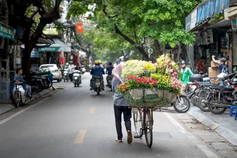 Ảnh hoa mùa thu ở Hà Nội nhẹ nhàng trong ánh mặt trời vàng