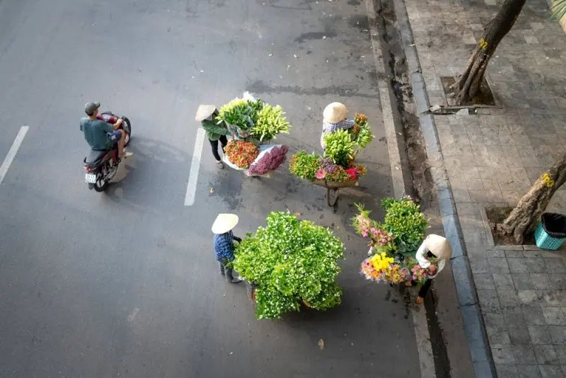 Bộ sưu tập SAC ở Hà Nội trong những bông hoa đẹp