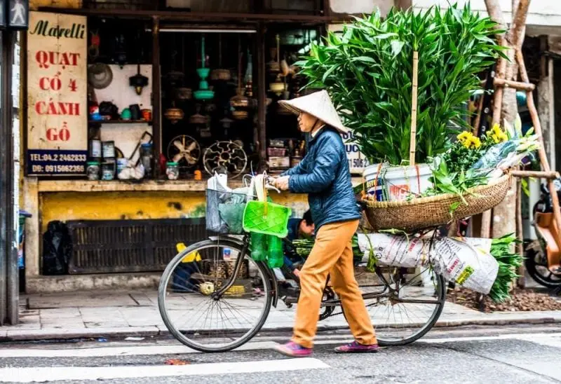 Bộ sưu tập SAC HANOI thông qua hình ảnh hoa đẹp