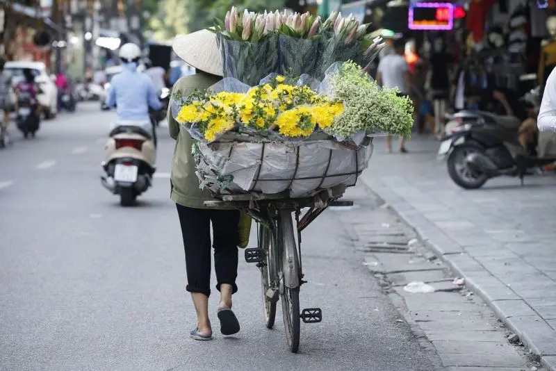 Hình ảnh những bông hoa mùa thu tuyệt đẹp ở Hà Nội, chứa đầy màu vàng