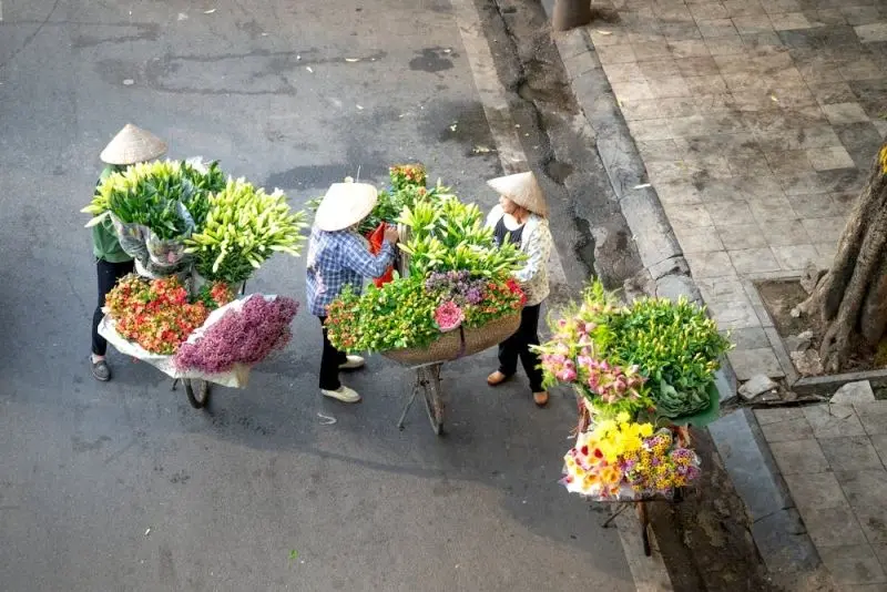 Mùa thu của Hà Nội tỏa ra bức ảnh hoa hấp dẫn