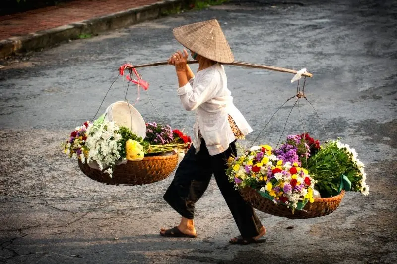 Hình ảnh của hoa mùa thu tuyệt đẹp ở Hà Nội, mang lại hòa bình