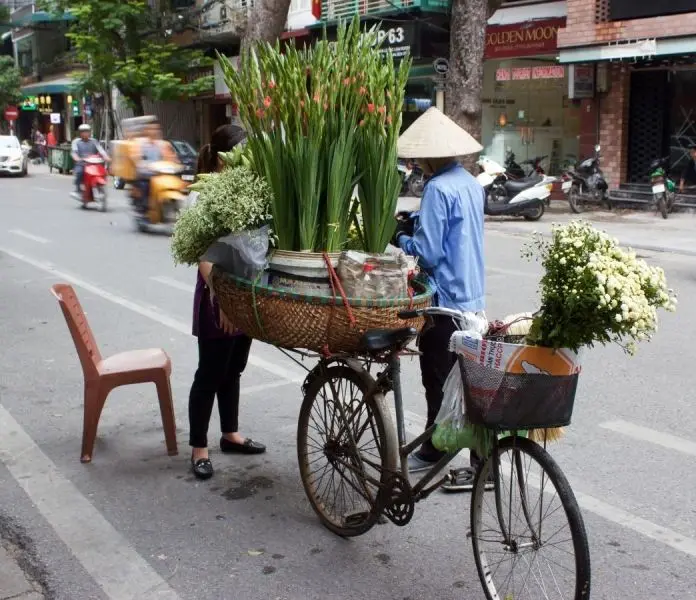 Vẻ đẹp thơ mộng của hình ảnh hoa mùa thu ở Hà Nội