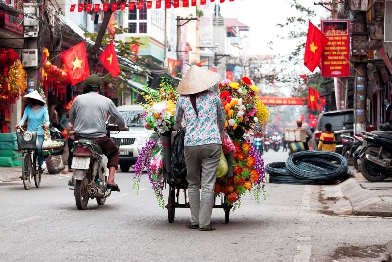 Vẻ đẹp mộc mạc trong ảnh hoa mùa thu Hà Nội