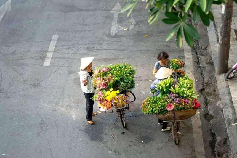 Cảm thấy mùa thu ở Hà Nội qua mỗi bông hoa