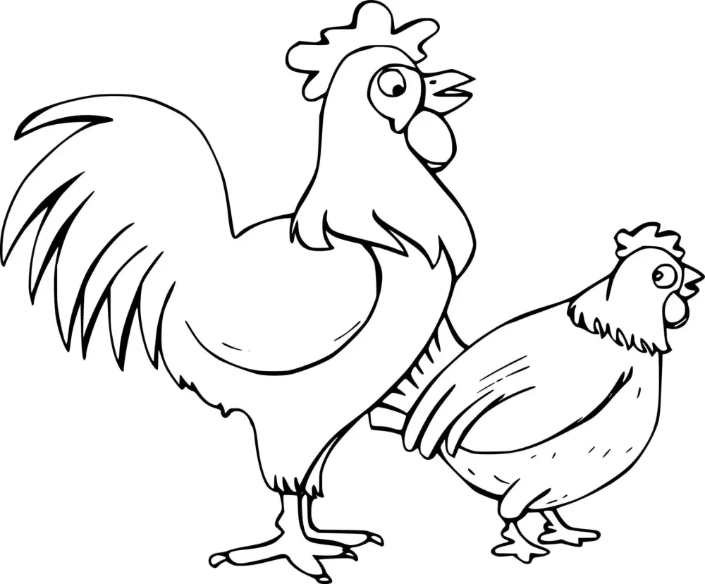 Download the funny chicken coloring, help your child learn more about animals!