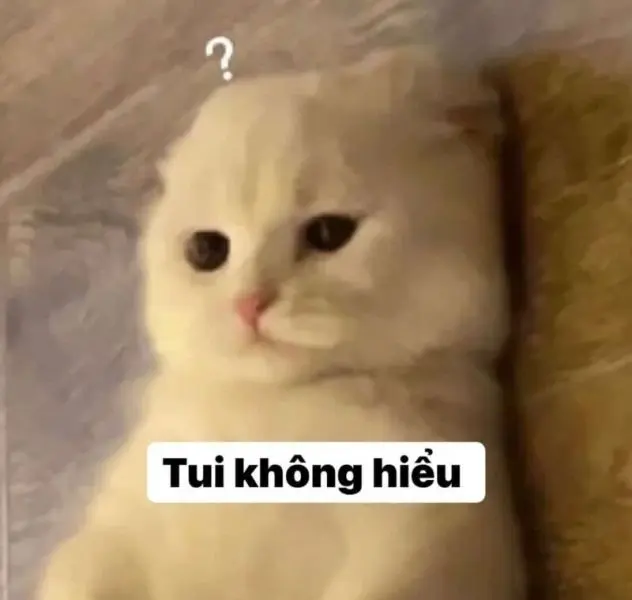 Meme không hiểu với các biểu cảm hài hước