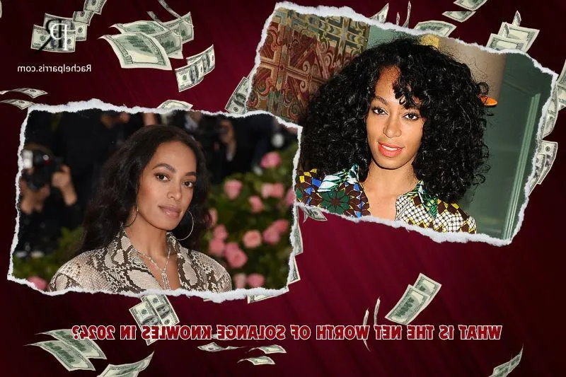 Solange Knowles What is Net Worth in 2024: Deep Dive into Career, Income and Financial Journey