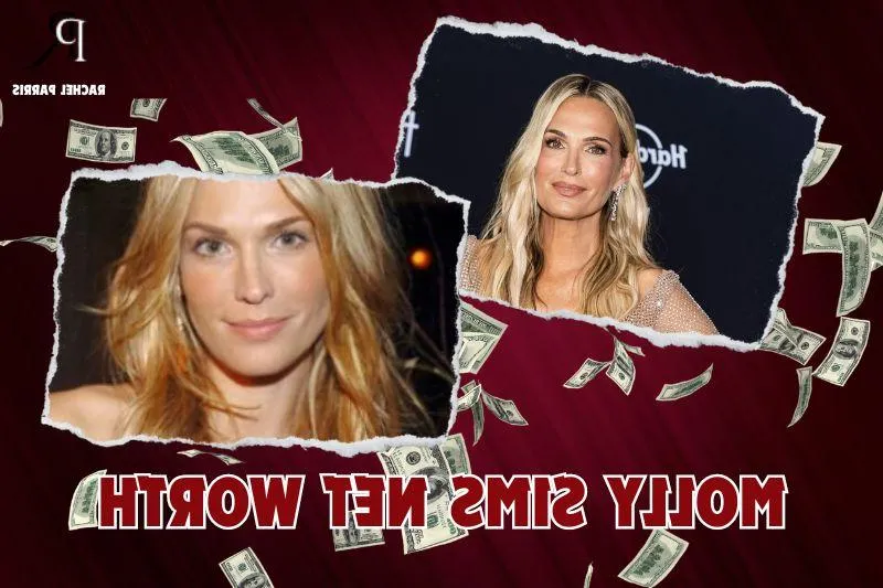 What is Molly Sims net worth in 2024: From model to millions