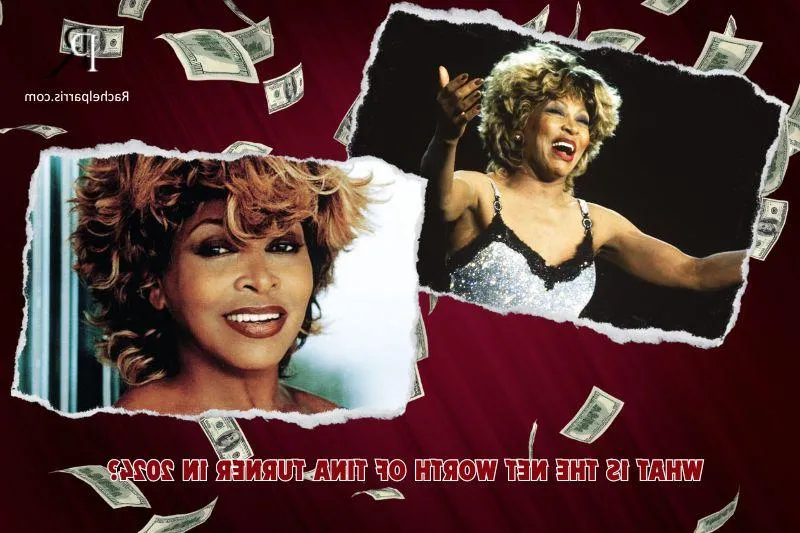 What is Tina Turner's Net Worth in 2024: Career, Income and Finance Overview